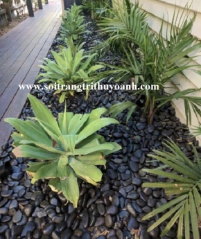 Sỏi đen bóng trang trí cảnh quan resort