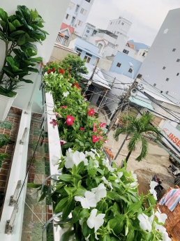 Q7, Huỳnh Tấn Phát,Giá, Hẻm Xe Tải, Nhà nở hậu, 3 tầng, Nhà mới, Sổ hồng hoàn công, nở hậu tài lộc,