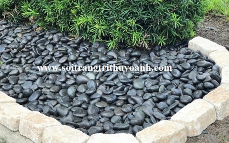 Sỏi đen bóng trang trí cảnh quan resort