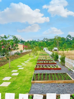 Chỉ 550 Triệu/Nền - Đất nền Bảo Lộc Garden Hill - Đa dạng diện tích 130m2 - 200m2 - Gần TP. Bảo Lộc