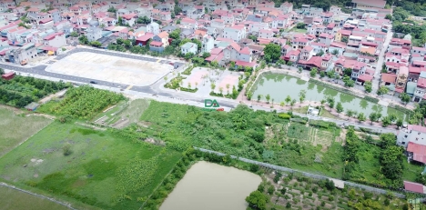 Bán đất đấu giá Liên Hà Đông Anh 2022