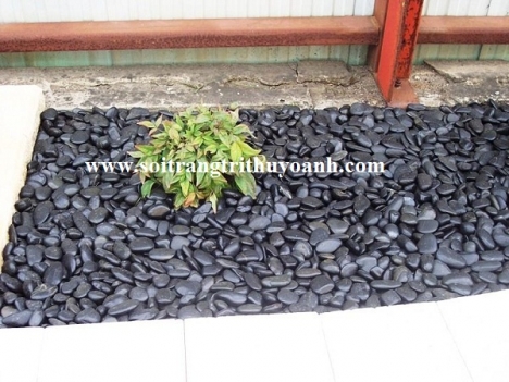 Sỏi đen bóng trang trí biệt thự sân vườn