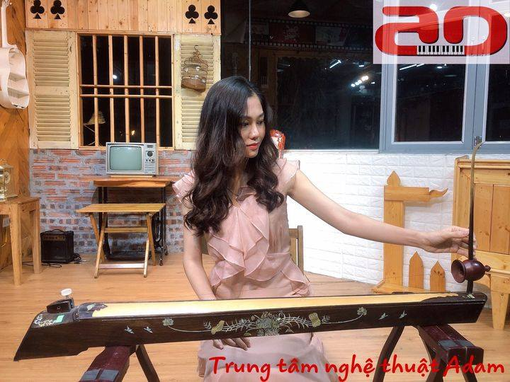 Dạy học đàn Nhị – Gia sư (tại nhà) - Nhận dạy Online