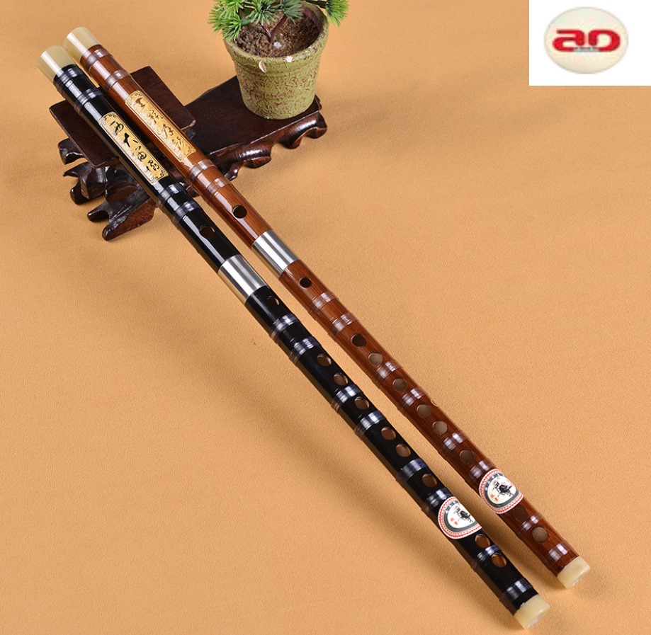 Giảng viên sáo trúc Nguyễn  Đình Phong                 