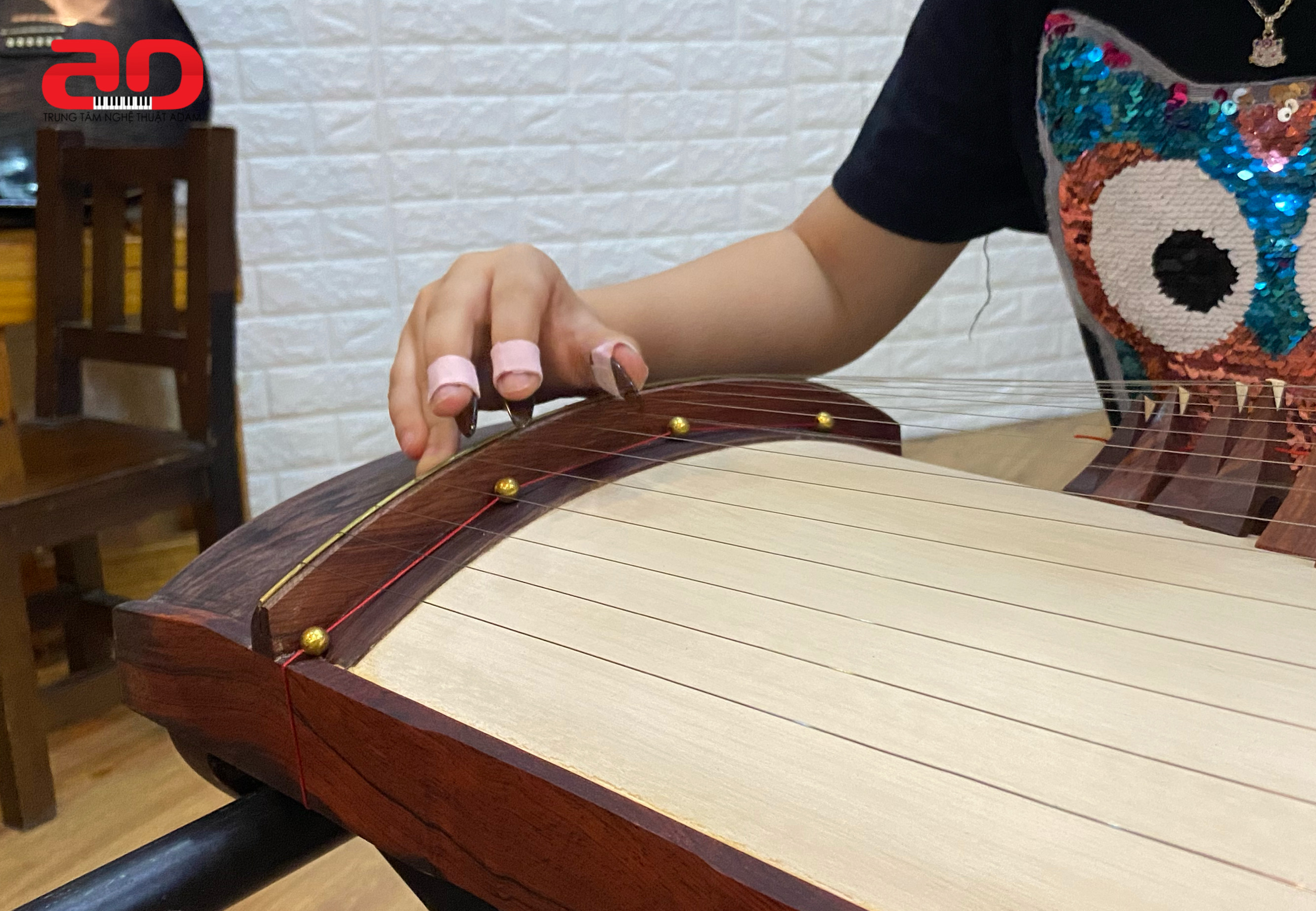 Dạy học nhạc dân tộc-TT Nghệ Thuật Adam            