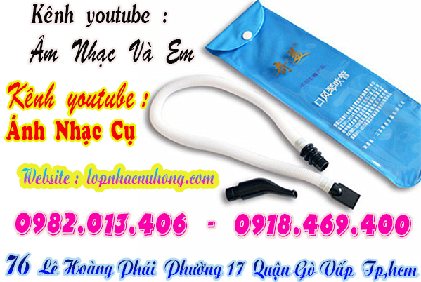 Nơi bán bộ ống thổi kèn melodion giá rẻ tại Sài Gòn 
