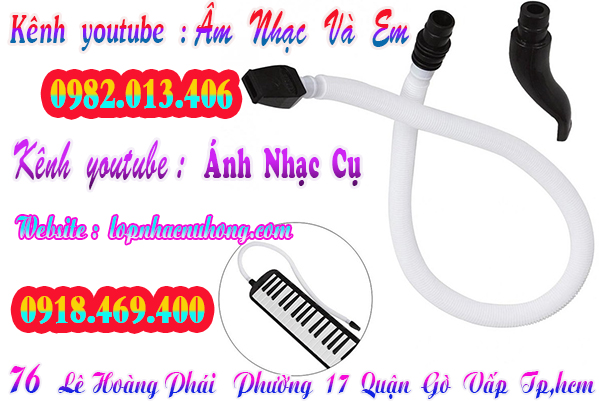 Nơi bán bộ ống thổi kèn melodion giá rẻ tại Sài Gòn 