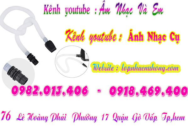 Nơi bán bộ ống thổi kèn melodion giá rẻ tại Sài Gòn 