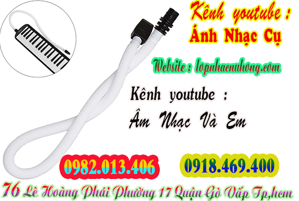 Nơi bán bộ ống thổi kèn melodion giá rẻ tại Sài Gòn 