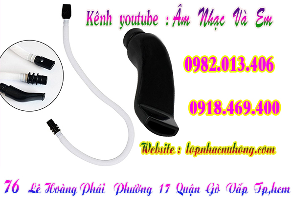 Nơi bán bộ ống thổi kèn melodion giá rẻ tại Sài Gòn 