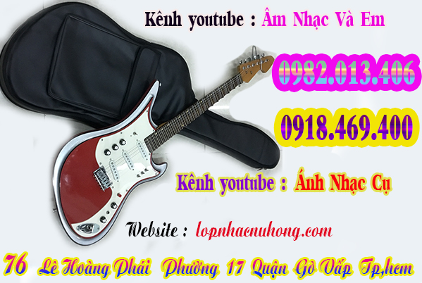 Chỗ bán bao da đàn guitar điện phím lõm tại Sài Gòn, tphcm 