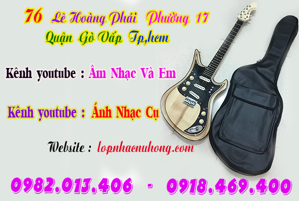 Chỗ bán bao da đàn guitar điện phím lõm tại Sài Gòn, tphcm 