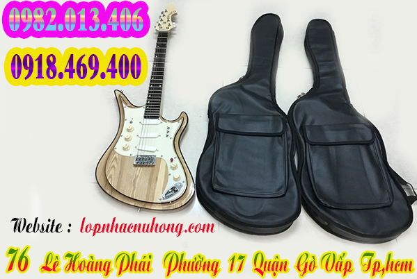 Chỗ bán bao da đàn guitar điện phím lõm tại Sài Gòn, tphcm 