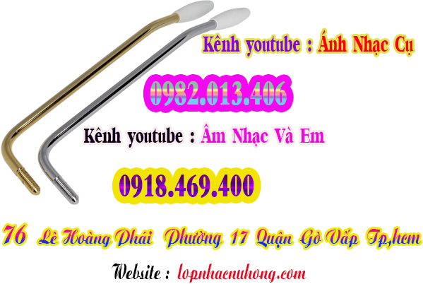 Nơi bán cần nhún guitar điện tại Sài Gòn 