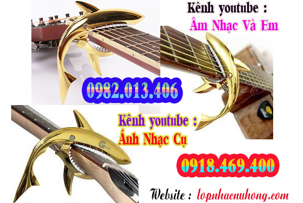 Địa chỉ nơi bán capo đàn guitar tại Sài Gòn, Gò Vấp, Tphcm 