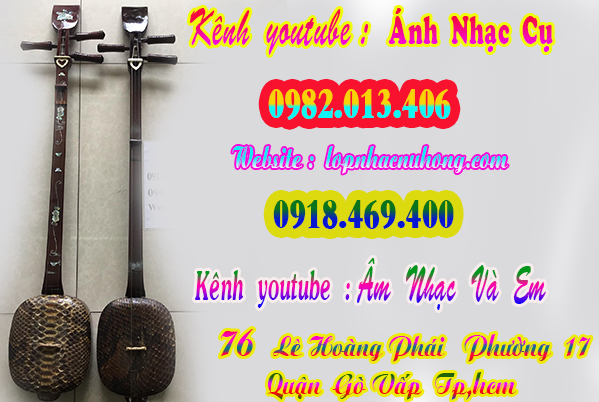 Shop bán đàn tam, nhạc cụ dân tộc tại gò vấp, sài gòn, tphcm