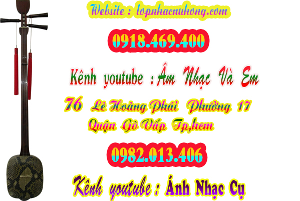 Shop bán đàn tam, nhạc cụ dân tộc tại gò vấp, sài gòn, tphcm