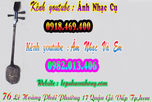Shop bán đàn tam, nhạc cụ dân tộc tại gò vấp, sài gòn, tphcm