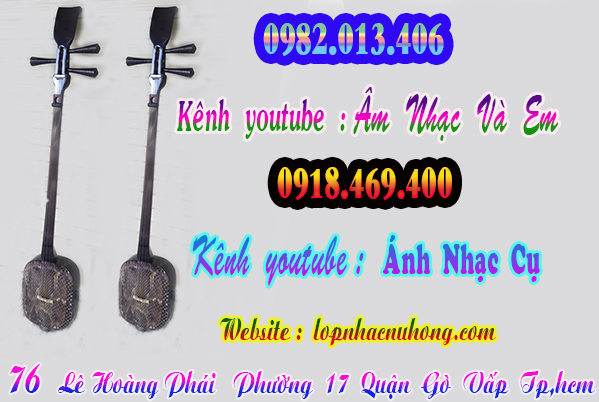 Shop bán đàn tam, nhạc cụ dân tộc tại gò vấp, sài gòn, tphcm