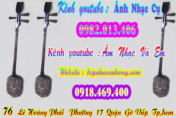 Shop bán đàn tam, nhạc cụ dân tộc tại gò vấp, sài gòn, tphcm