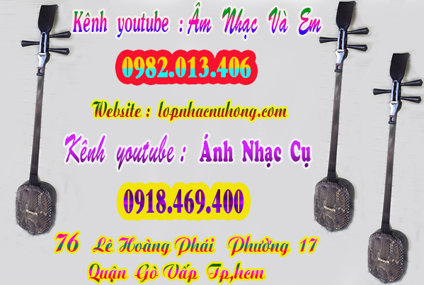 Shop bán đàn tam, nhạc cụ dân tộc tại gò vấp, sài gòn, tphcm
