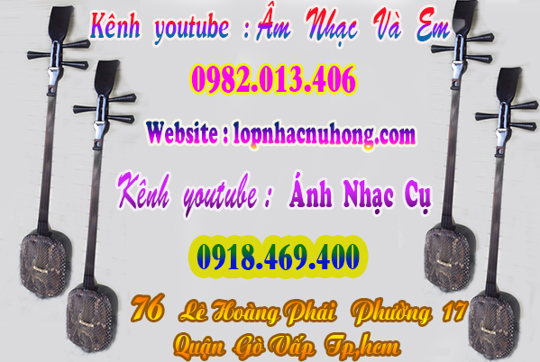 Shop bán đàn tam, nhạc cụ dân tộc tại gò vấp, sài gòn, tphcm