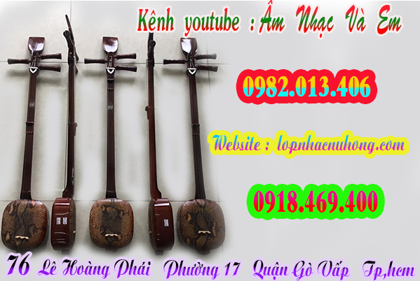 Shop bán đàn tam, nhạc cụ dân tộc tại gò vấp, sài gòn, tphcm