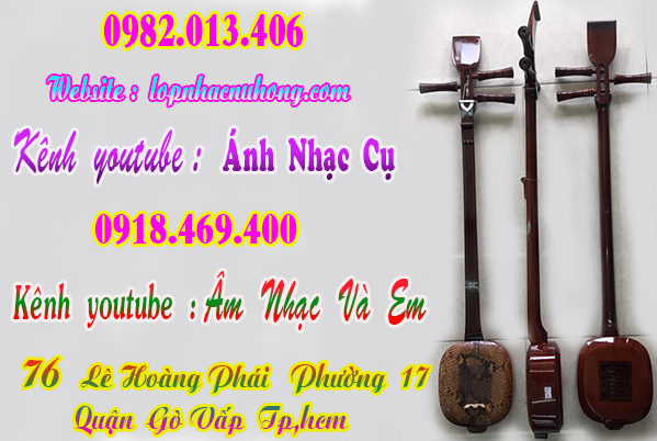 Shop bán đàn tam, nhạc cụ dân tộc tại gò vấp, sài gòn, tphcm