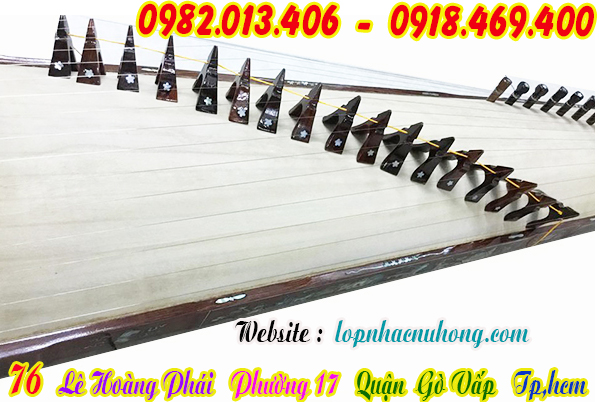 Cửa hàng bán và cho thuê đàn tranh tại sài gòn, gò vấp, tphcm