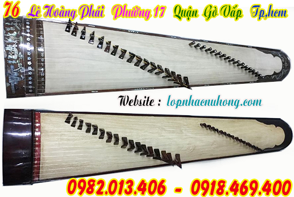 Cửa hàng bán và cho thuê đàn tranh tại sài gòn, gò vấp, tphcm