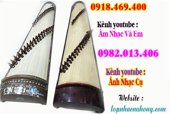 Cửa hàng bán và cho thuê đàn tranh tại sài gòn, gò vấp, tphcm