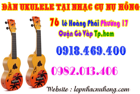 Shop bán đàn ukulele giá rẻ tại gò vấp, sài gòn, tphcm
