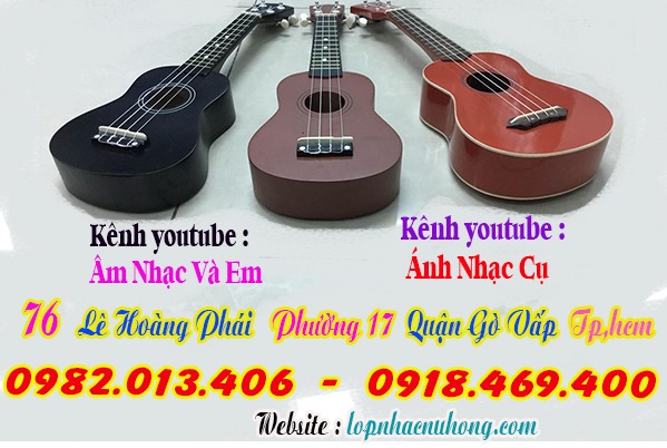 Shop bán đàn ukulele giá rẻ tại gò vấp, sài gòn, tphcm