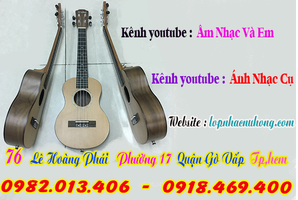 Shop bán đàn ukulele giá rẻ tại gò vấp, sài gòn, tphcm