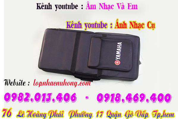 Địa chỉ cửa hàng bán bao đàn organ tại gò vấp, tphcm, sài gòn, hcm