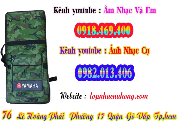 Địa chỉ cửa hàng bán bao đàn organ tại gò vấp, tphcm, sài gòn, hcm