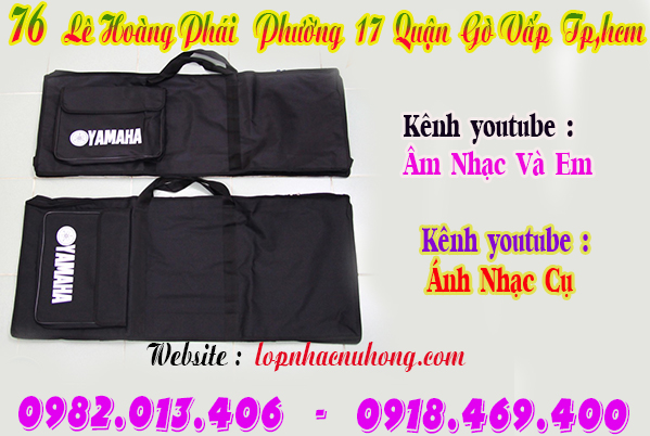 Địa chỉ cửa hàng bán bao đàn organ tại gò vấp, tphcm, sài gòn, hcm