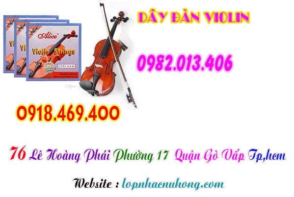 Cửa hàng bán và nhận thay dây đàn violin tại gò vấp, tphcm, sài gòn