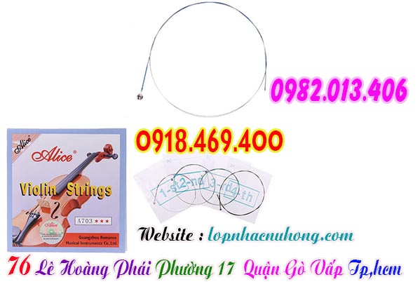 Cửa hàng bán và nhận thay dây đàn violin tại gò vấp, tphcm, sài gòn