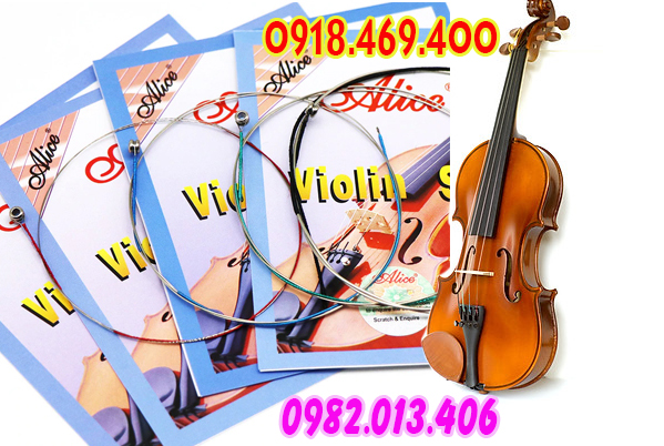 Cửa hàng bán và nhận thay dây đàn violin tại gò vấp, tphcm, sài gòn