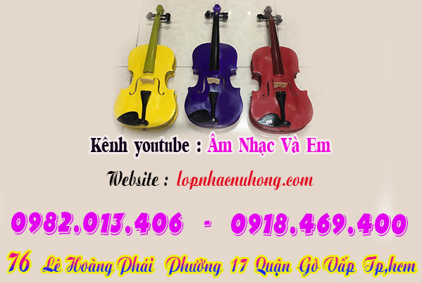 Cửa hàng bán đàn violin mô hình tại gò vấp, tphcm, sài gòn, hcm