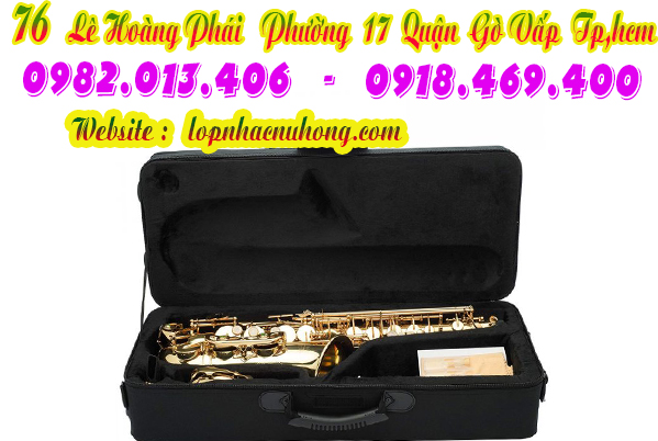 Địa chỉ nơi bán kèn saxophone alto, saxophone tenor tại gò vấp, tphcm