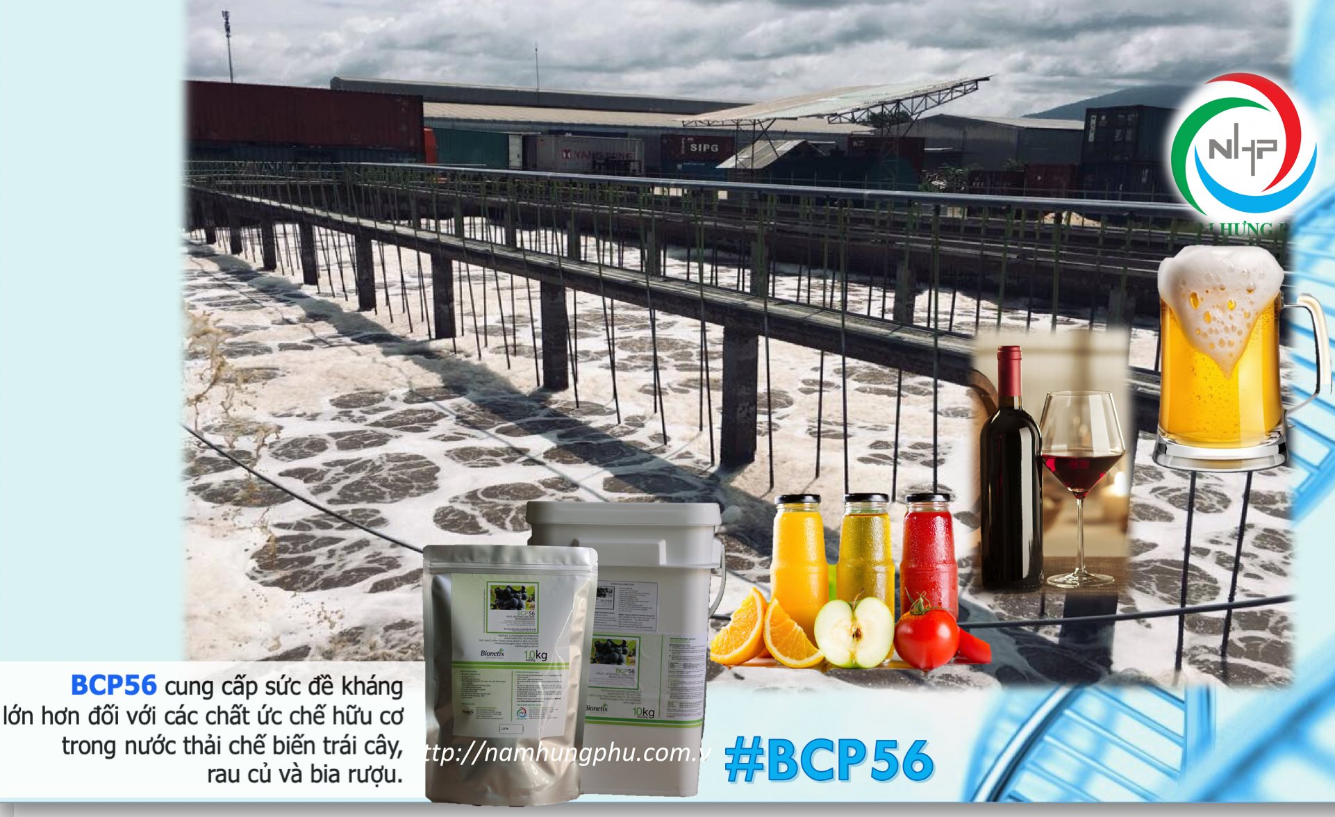 vi sinh môi trường BCP56 cho nước thải rau củ quả