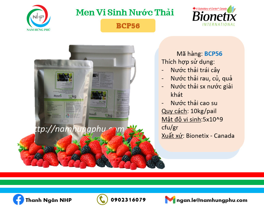vi sinh môi trường BCP56 cho nước thải rau củ quả