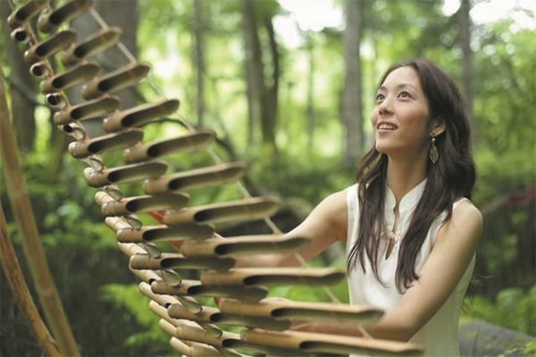 Đàn t-rưng được xếp vào loại nhạc cụ tự thân vang , chi gõ ....