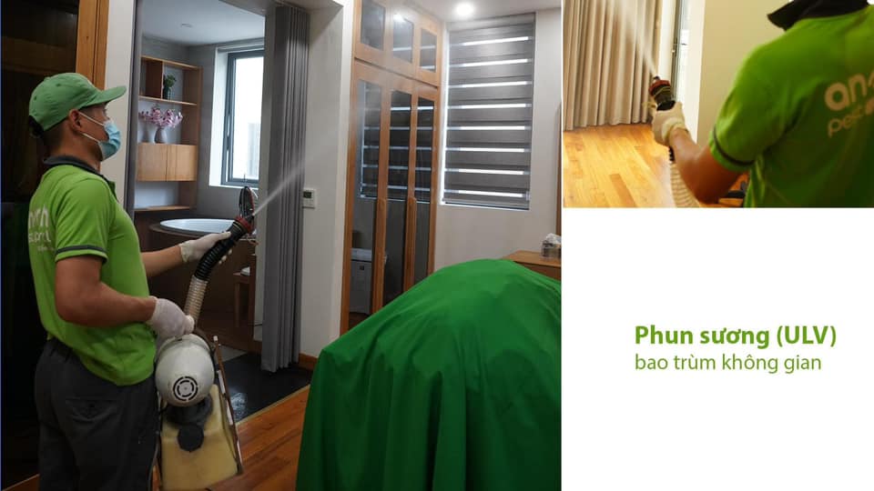 Dịch Vụ Phun Thuốc Diệt Muỗi Hiệu Quả Chất Lượng An Sinh Pest Control