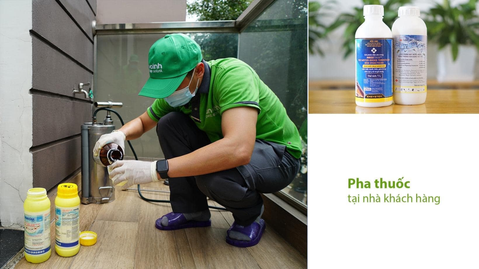 Dịch Vụ Phun Thuốc Diệt Muỗi Hiệu Quả Chất Lượng An Sinh Pest Control
