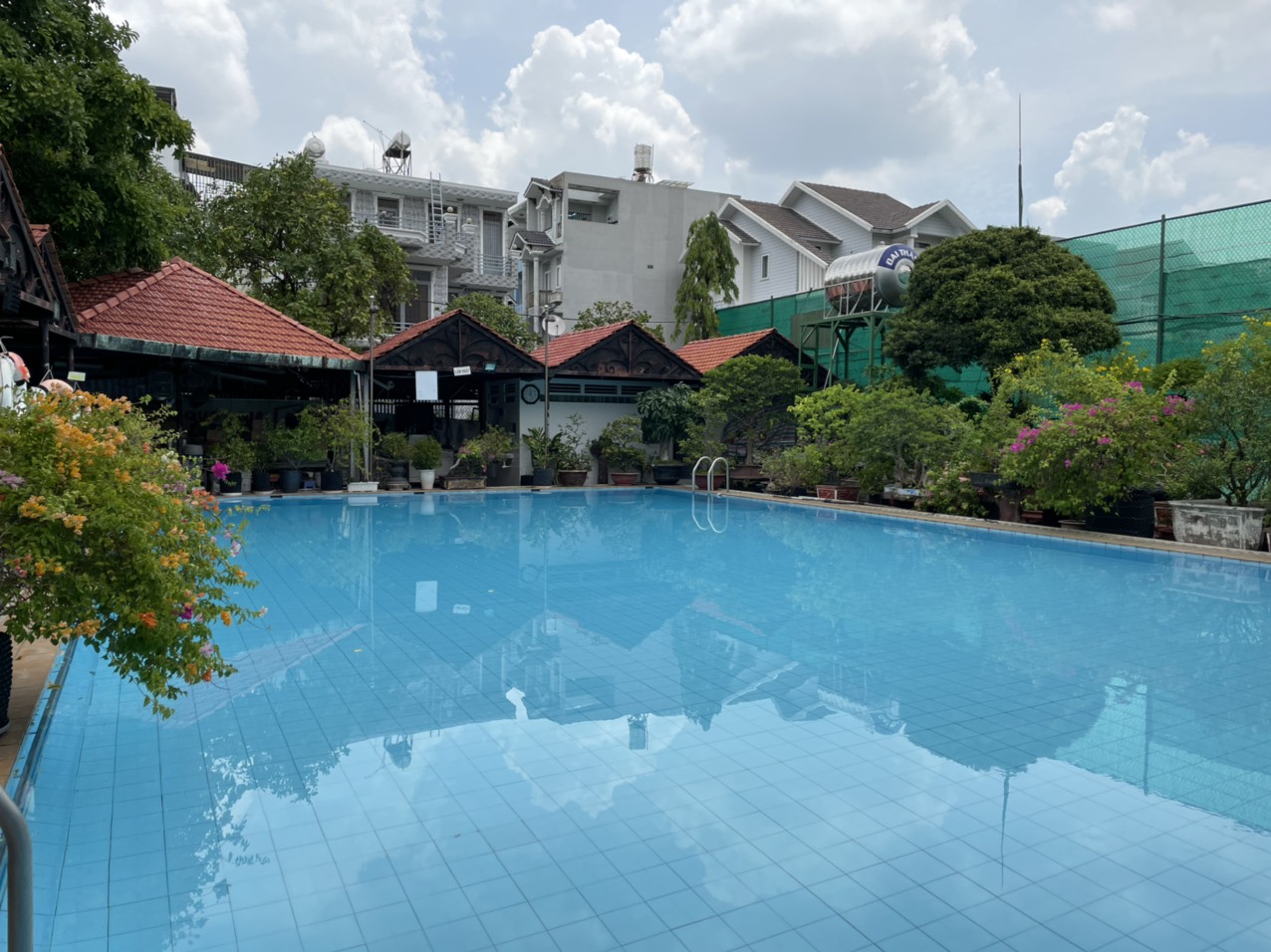 Giảm 20% phí học bơi cho HS-SV, hồ bơi Trần Lâm, hồ bơi Tân Phú