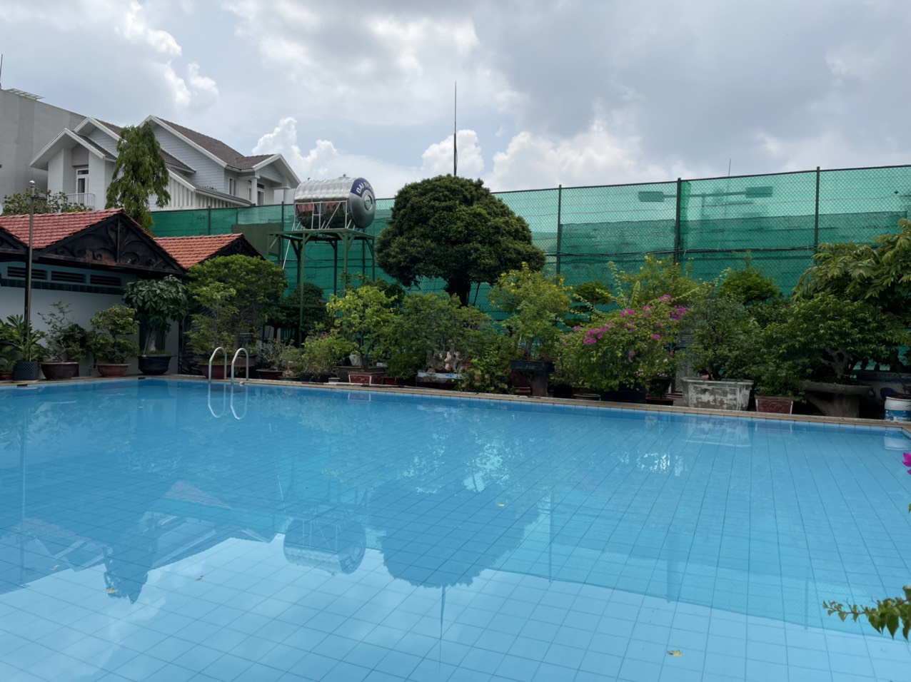 Giảm 20% phí học bơi cho HS-SV, hồ bơi Trần Lâm, hồ bơi Tân Phú