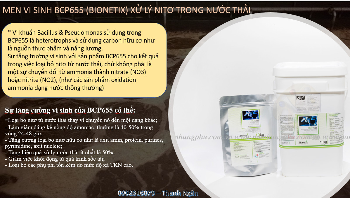 men vi sinh BCP655 xử lý Nitơ trong nước thải